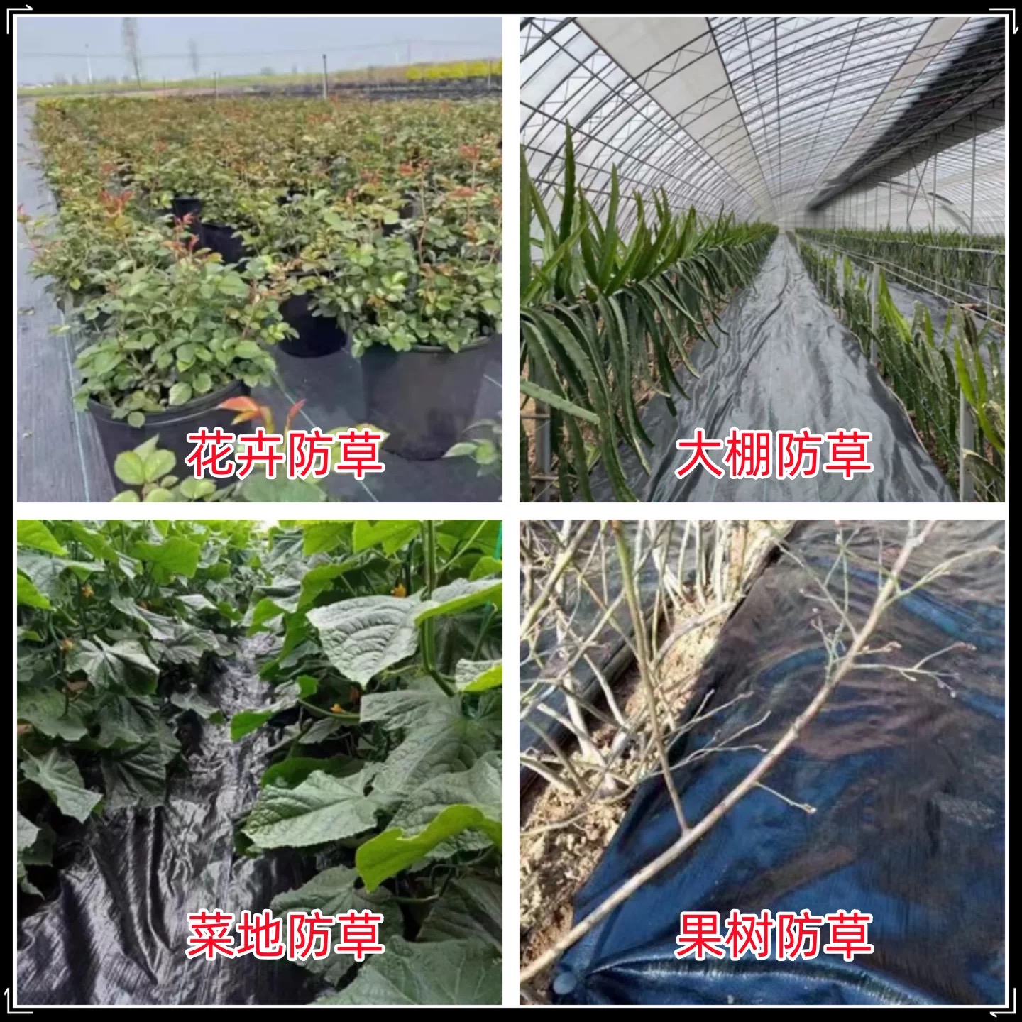 黑河市po膜防草布 - 方案
