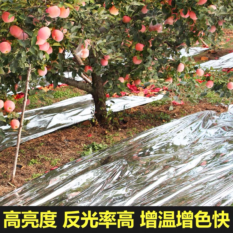 黑河市黑白养殖膜果树反光膜 - 哪里好